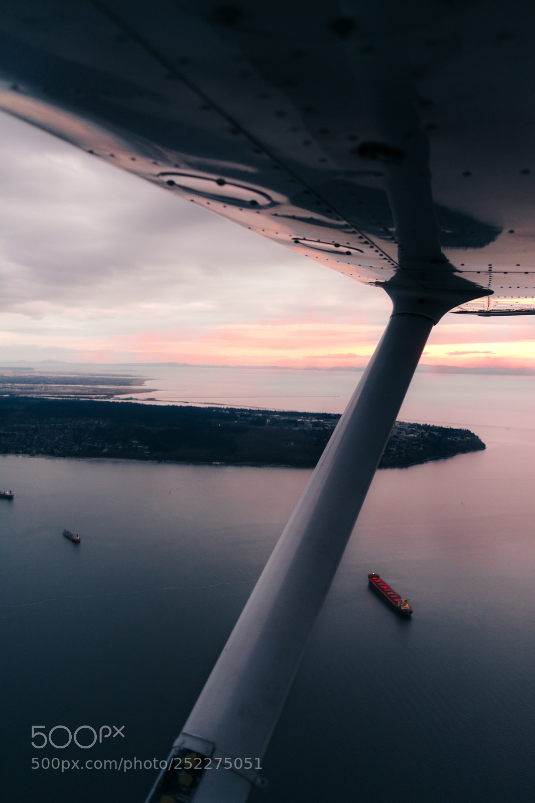 Nikon D5200 sample photo. Flying high photography