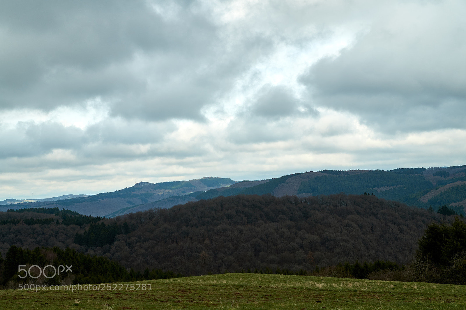 Sony SLT-A58 sample photo. Spring in the eifel photography