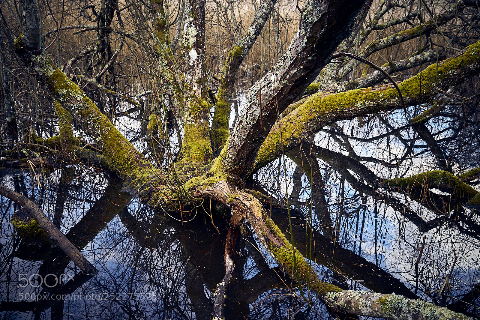 Sony a7 sample photo. Sologne photography