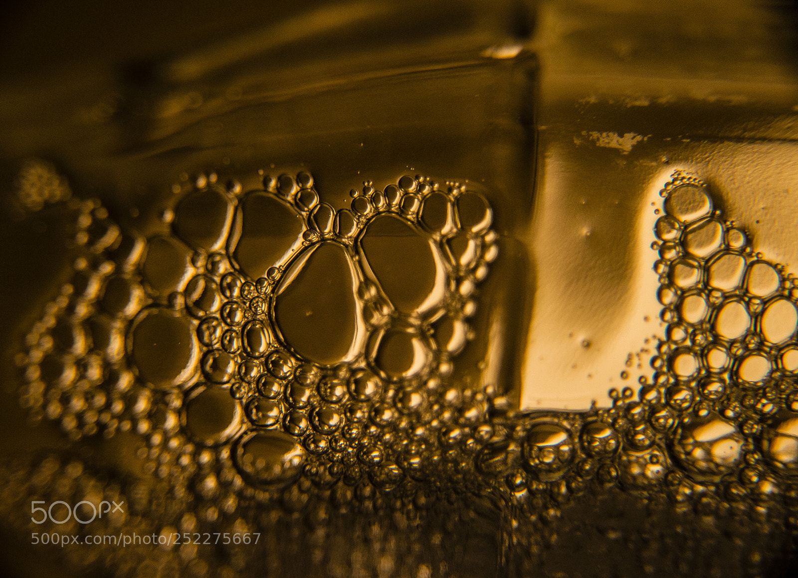 Nikon D800 sample photo. Mr. crab - treasures photography