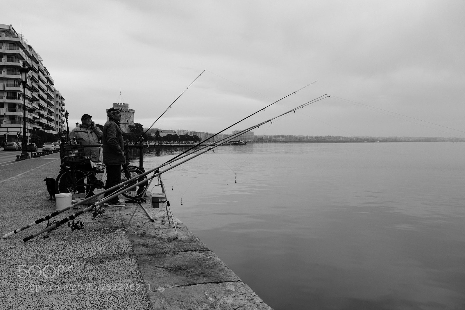 Fujifilm X100F sample photo. Patience in tranquillity photography