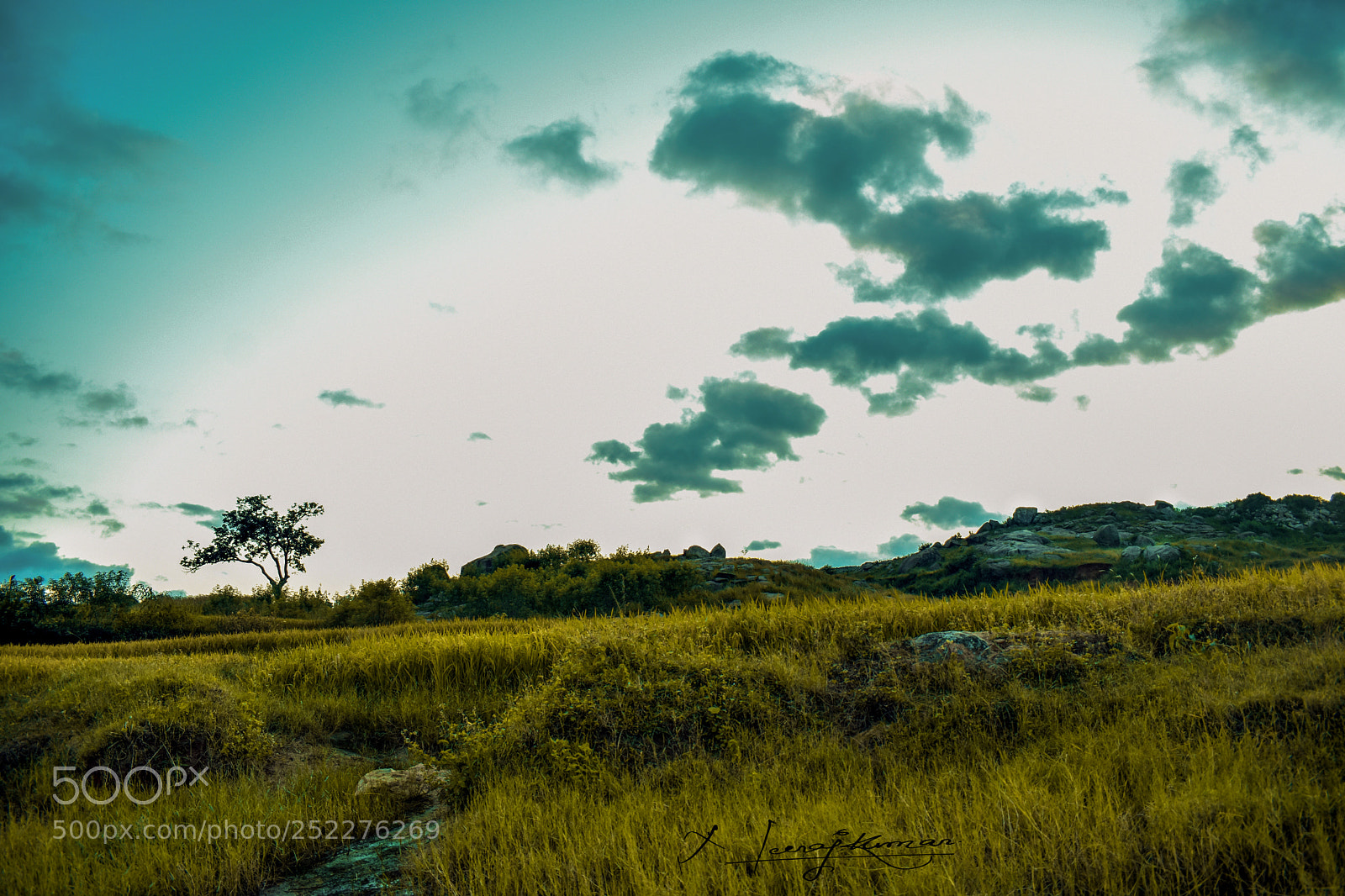 Nikon D3400 sample photo. Forbidden land. photography