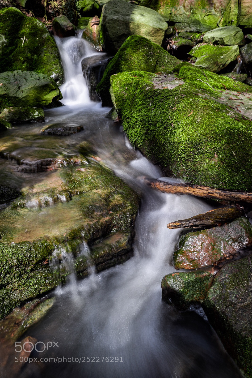 Nikon D800 sample photo. W a t e photography