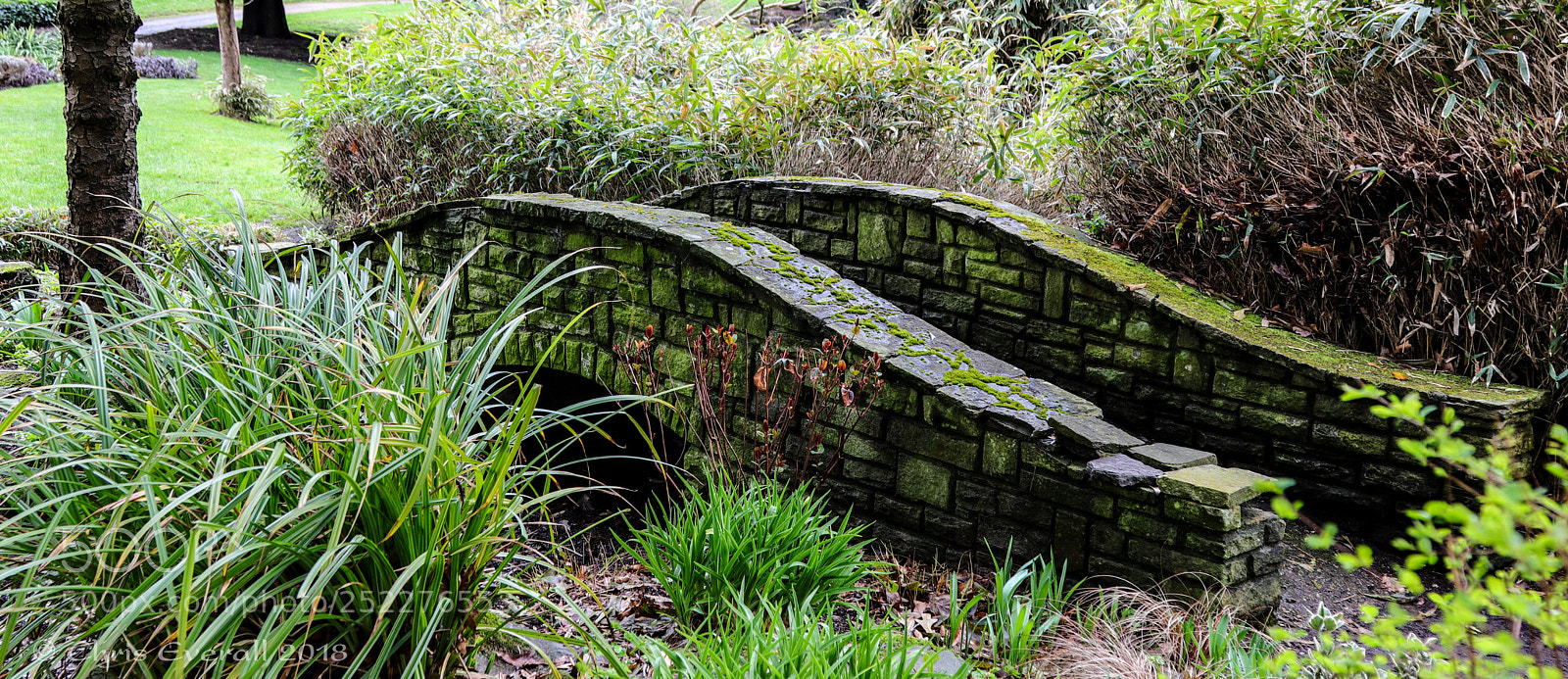 Canon EOS 77D (EOS 9000D / EOS 770D) sample photo. Small old bridge. photography