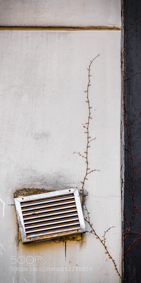 Canon EOS 60D sample photo. Finaly photography