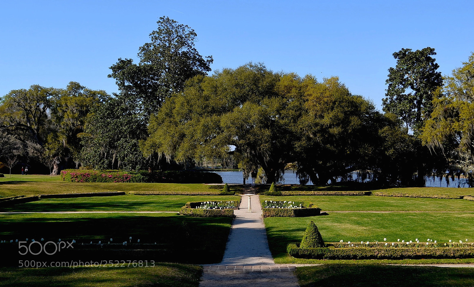 Nikon D5100 sample photo. Middleton place plantation and photography