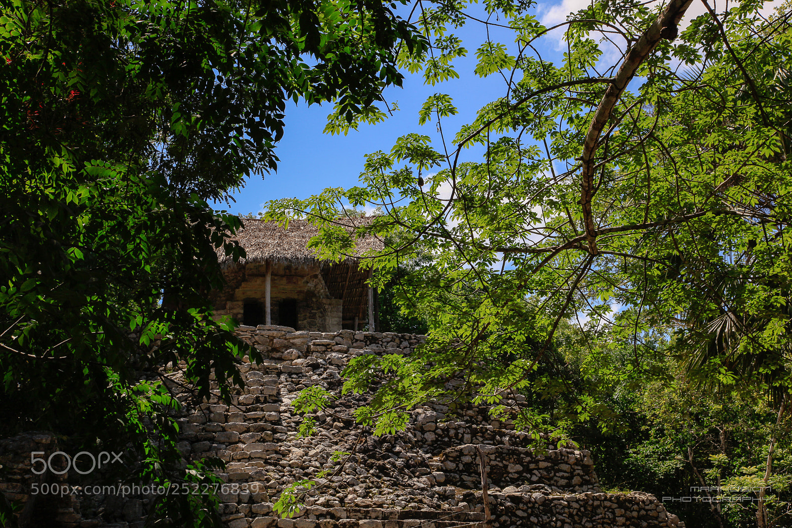 Canon EOS 5D Mark II sample photo. Temple on the forest photography