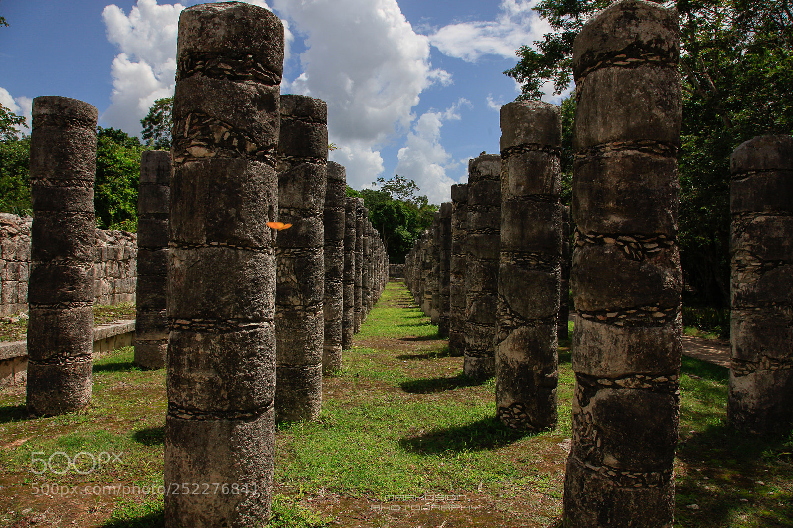 Canon EOS 5D Mark II sample photo. Columns photography