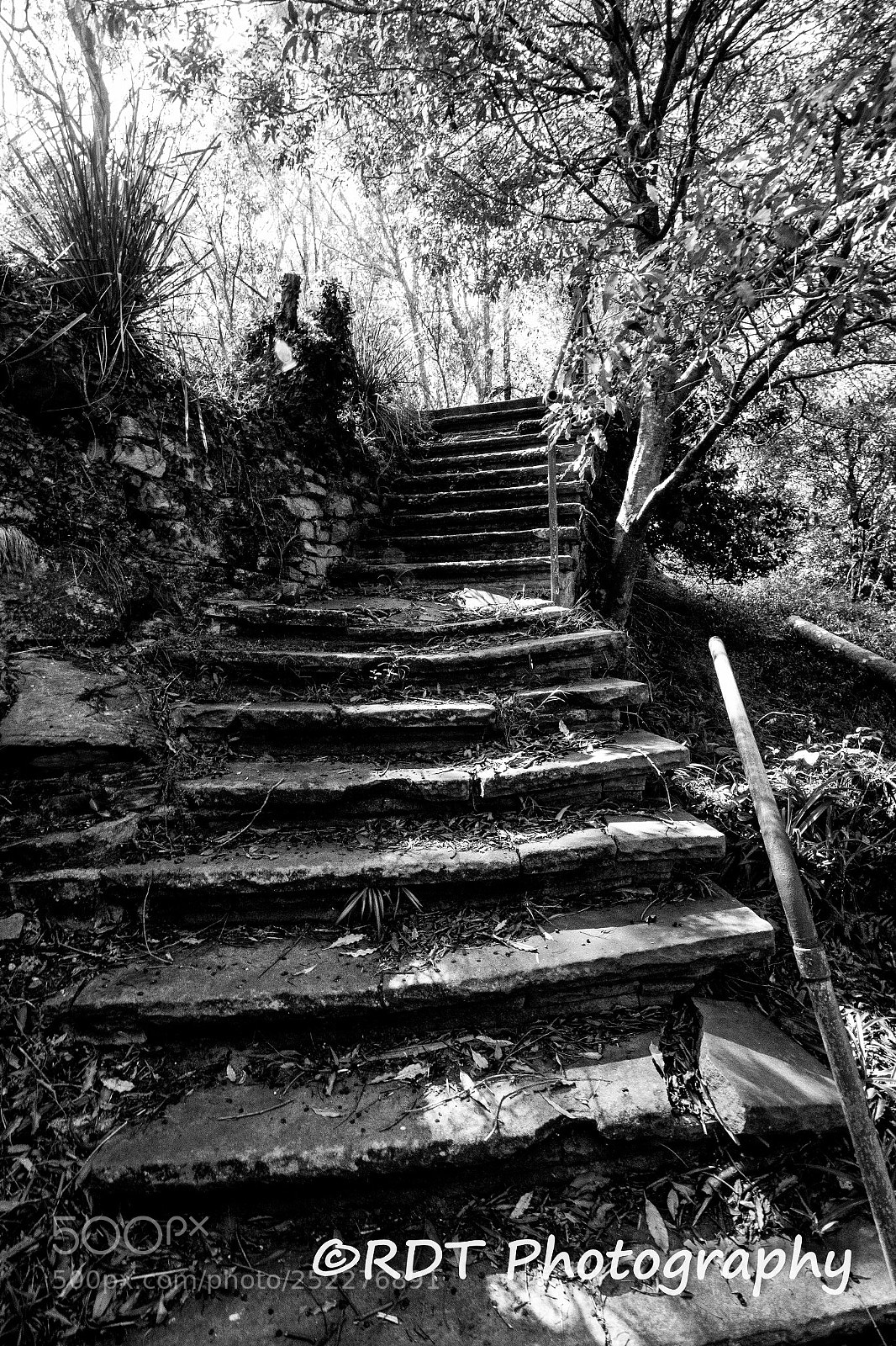 Canon EOS 7D Mark II sample photo. Abandoned stairs photography