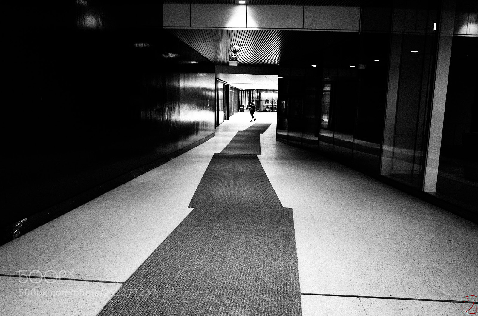 Ricoh GR II sample photo. Tapis photography