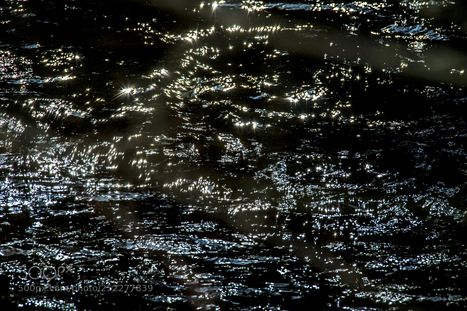 Nikon D5 sample photo. Micro waves photography