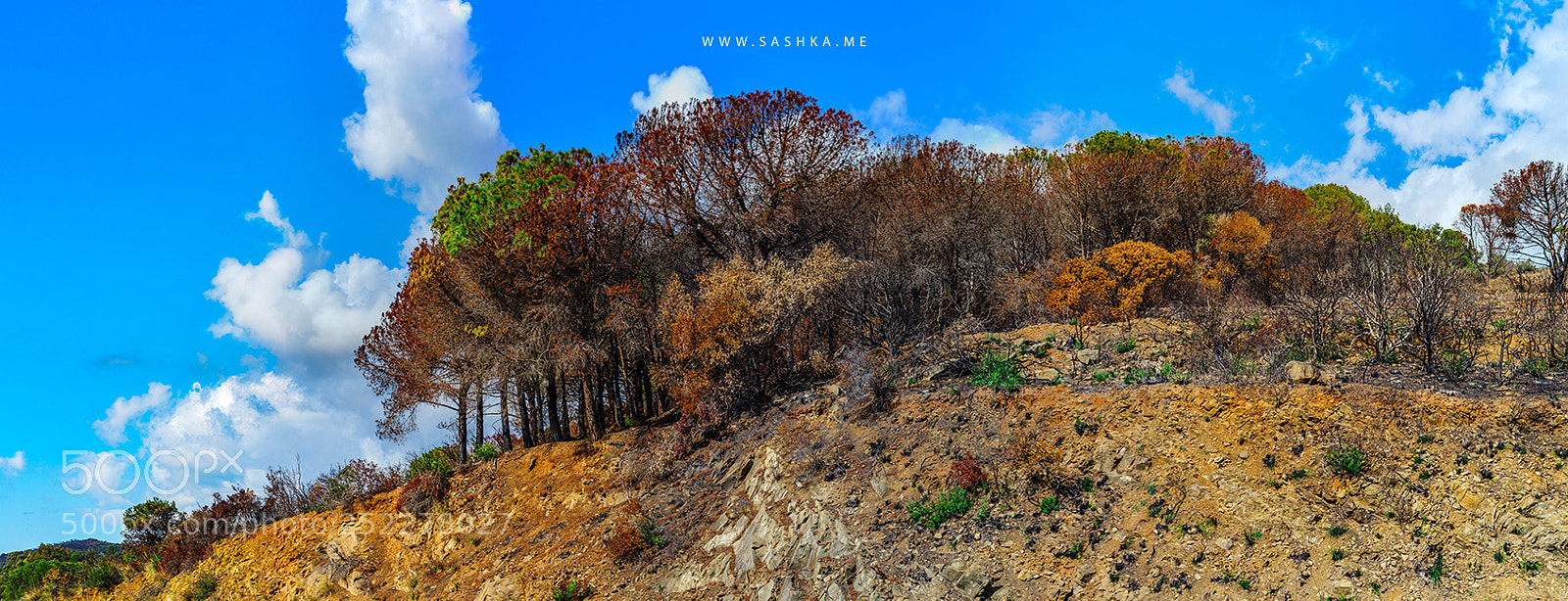 Sony a99 II sample photo. Discovering tuscany and the photography