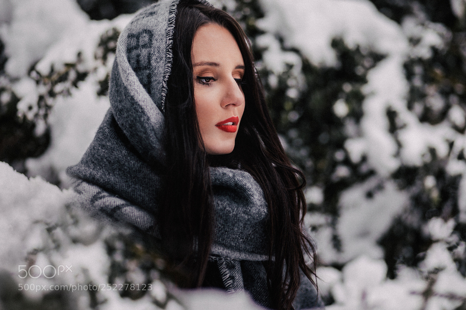 Canon EOS 5D Mark IV sample photo. Snow white photography