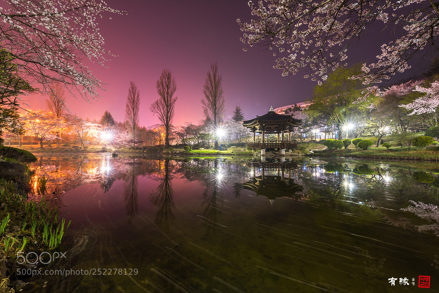 Nikon D810 sample photo. . photography