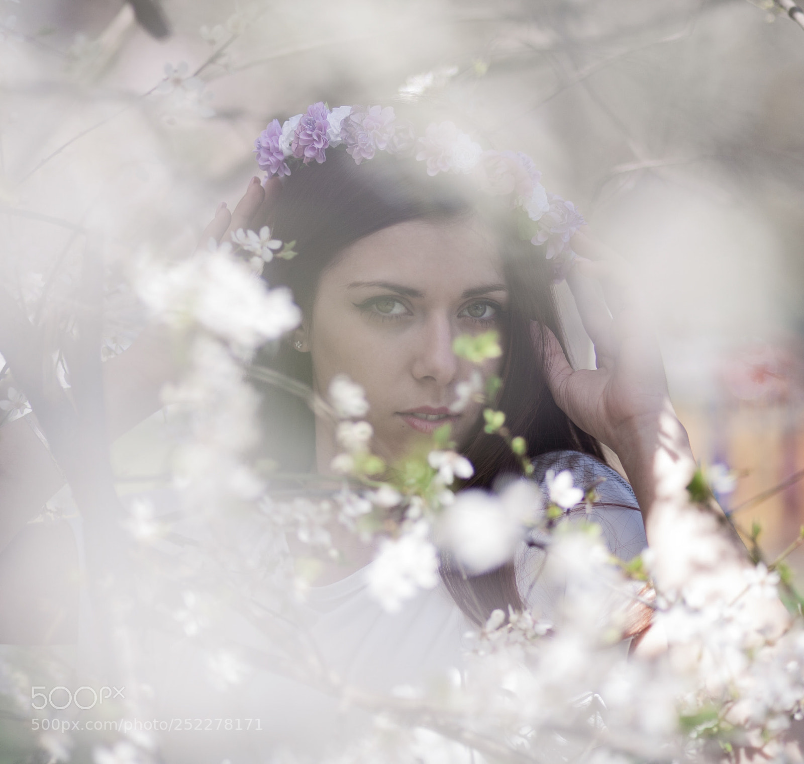Canon EOS 5D sample photo. A. photography