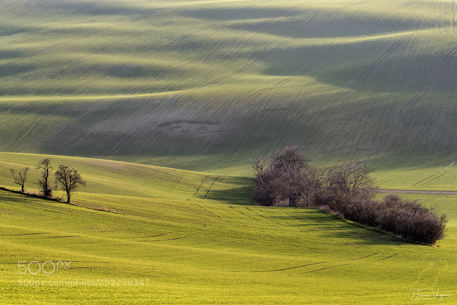 Nikon D810 sample photo. Field in sunset photography