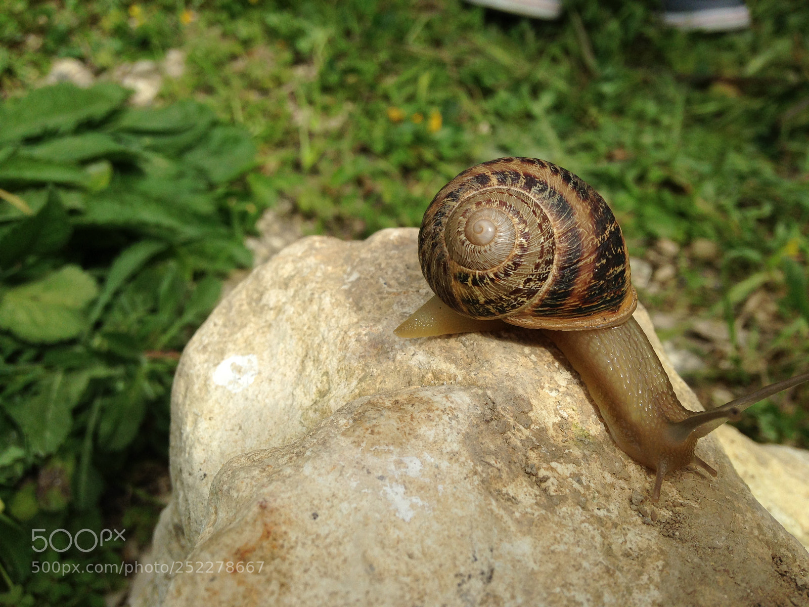 Apple iPhone 5 sample photo. Img photography