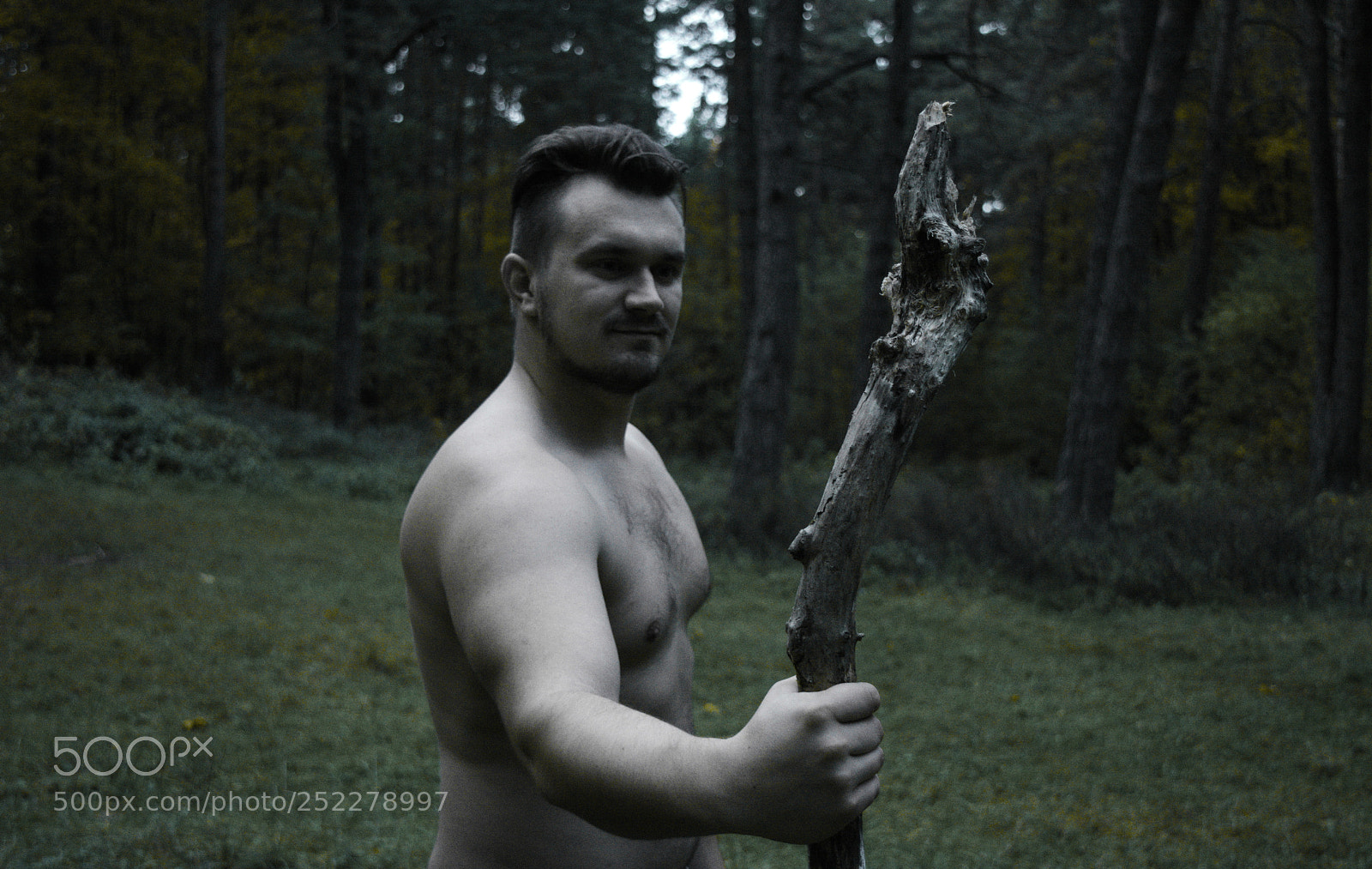 Nikon D5200 sample photo. The forest spirit photography