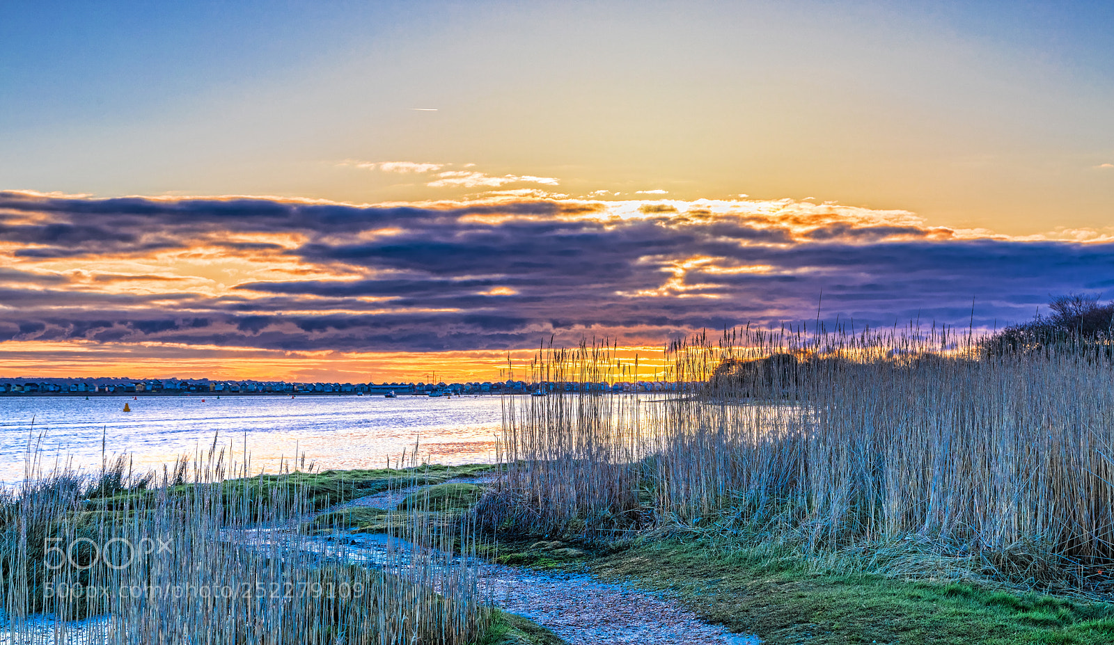 Canon EOS 5D Mark IV sample photo. Reeds and clouds photography