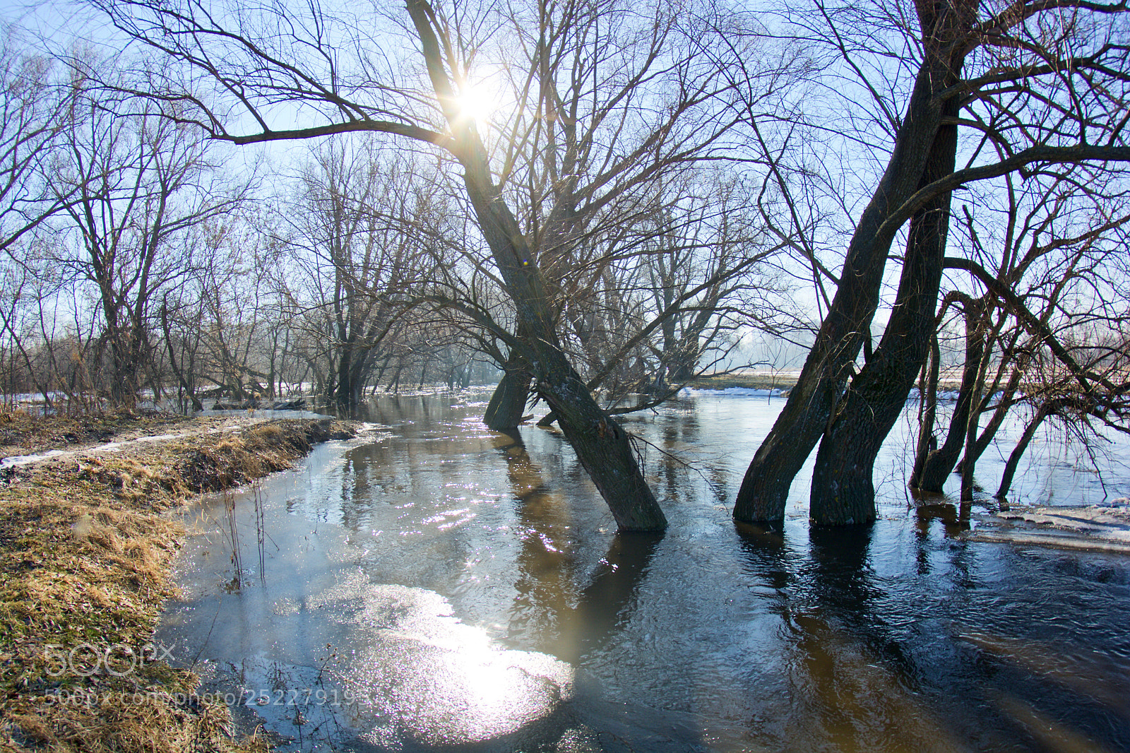 Nikon D7100 sample photo. весна вступает в свои прова photography
