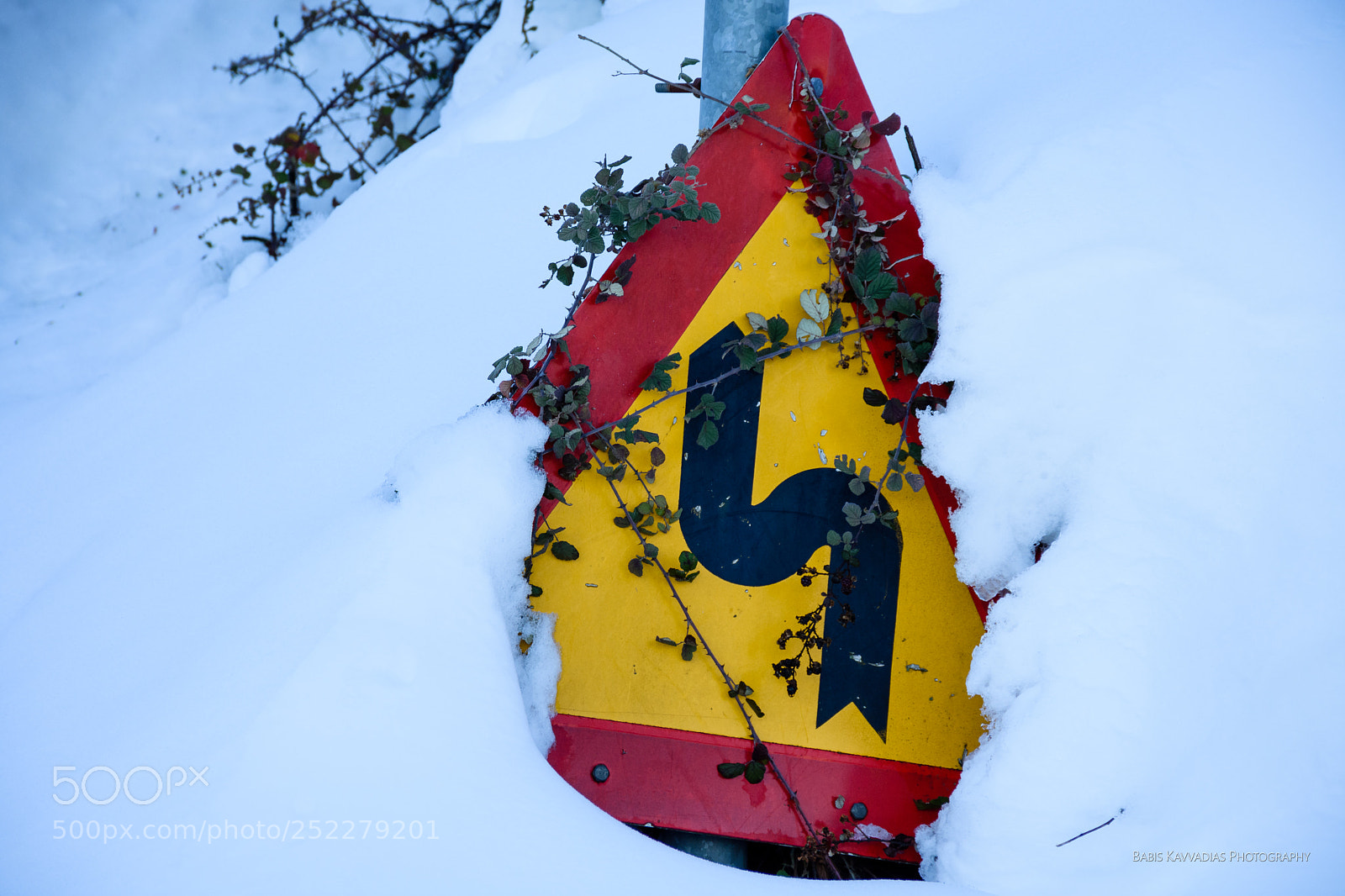 Nikon D7200 sample photo. Burried in the snow photography