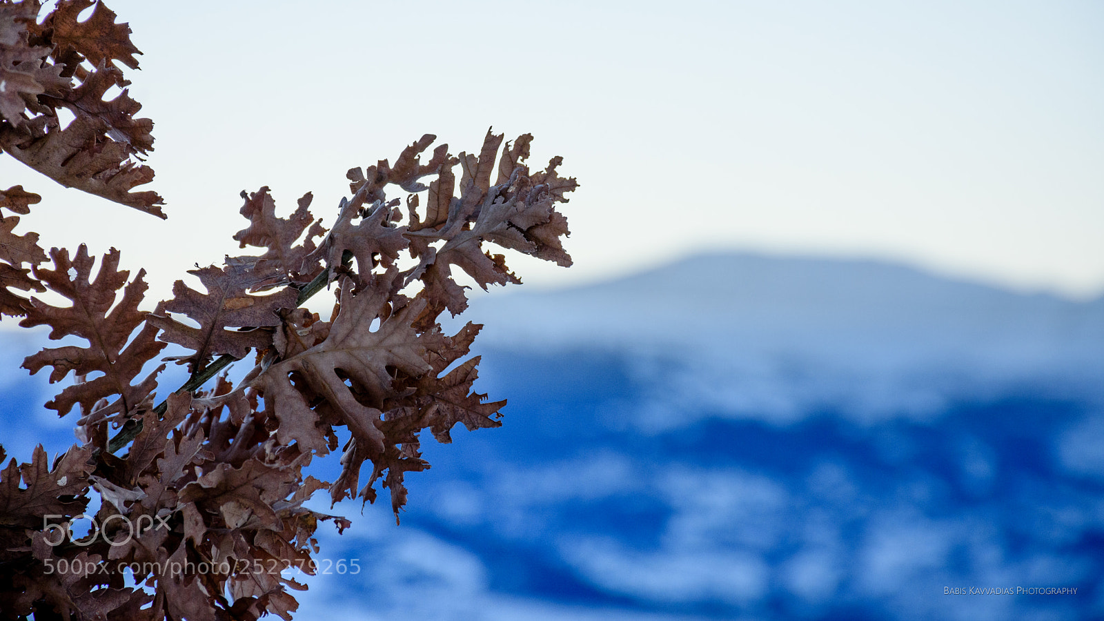 Nikon D7200 sample photo. Snow photography