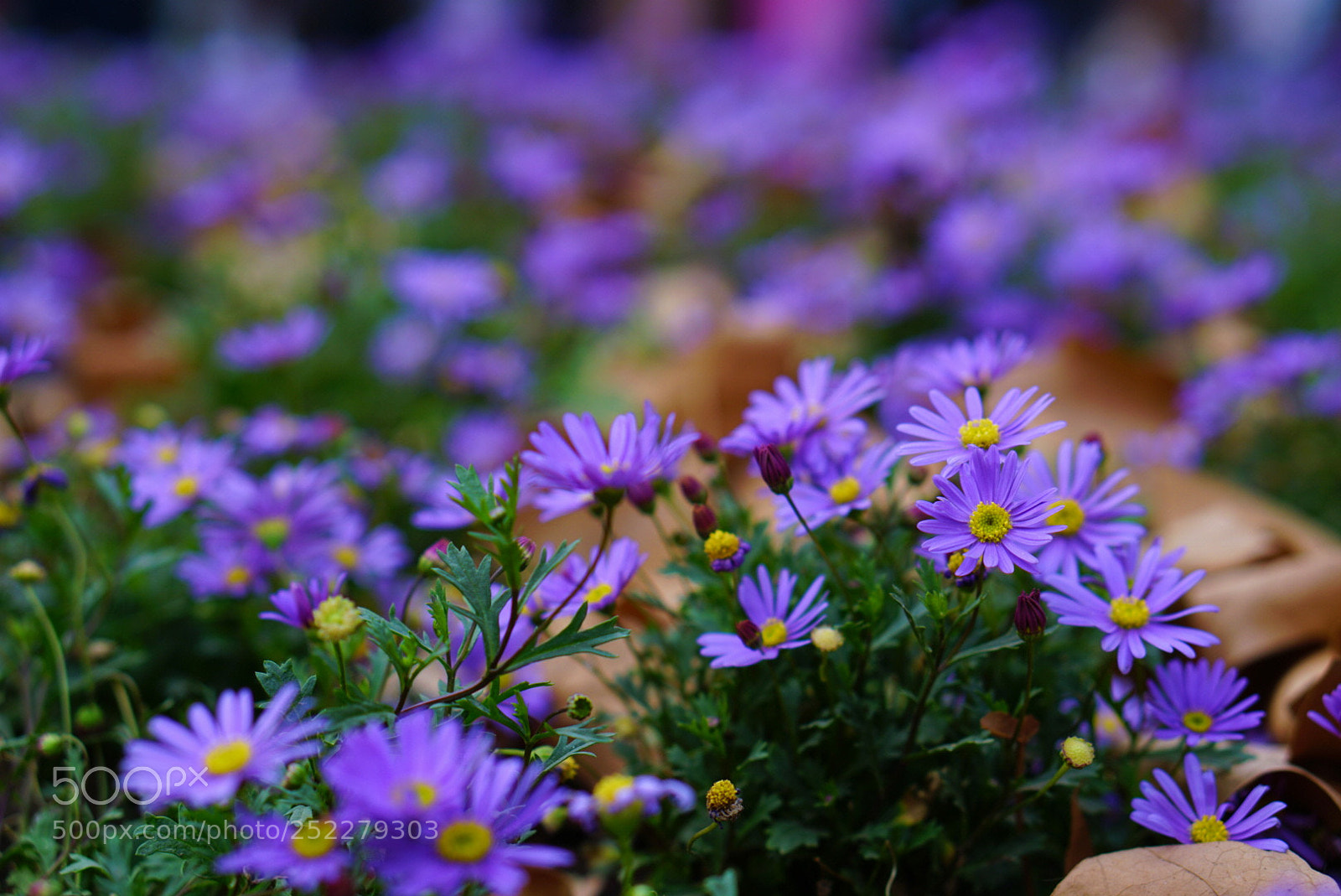 Sony a6000 sample photo. Untitled photography