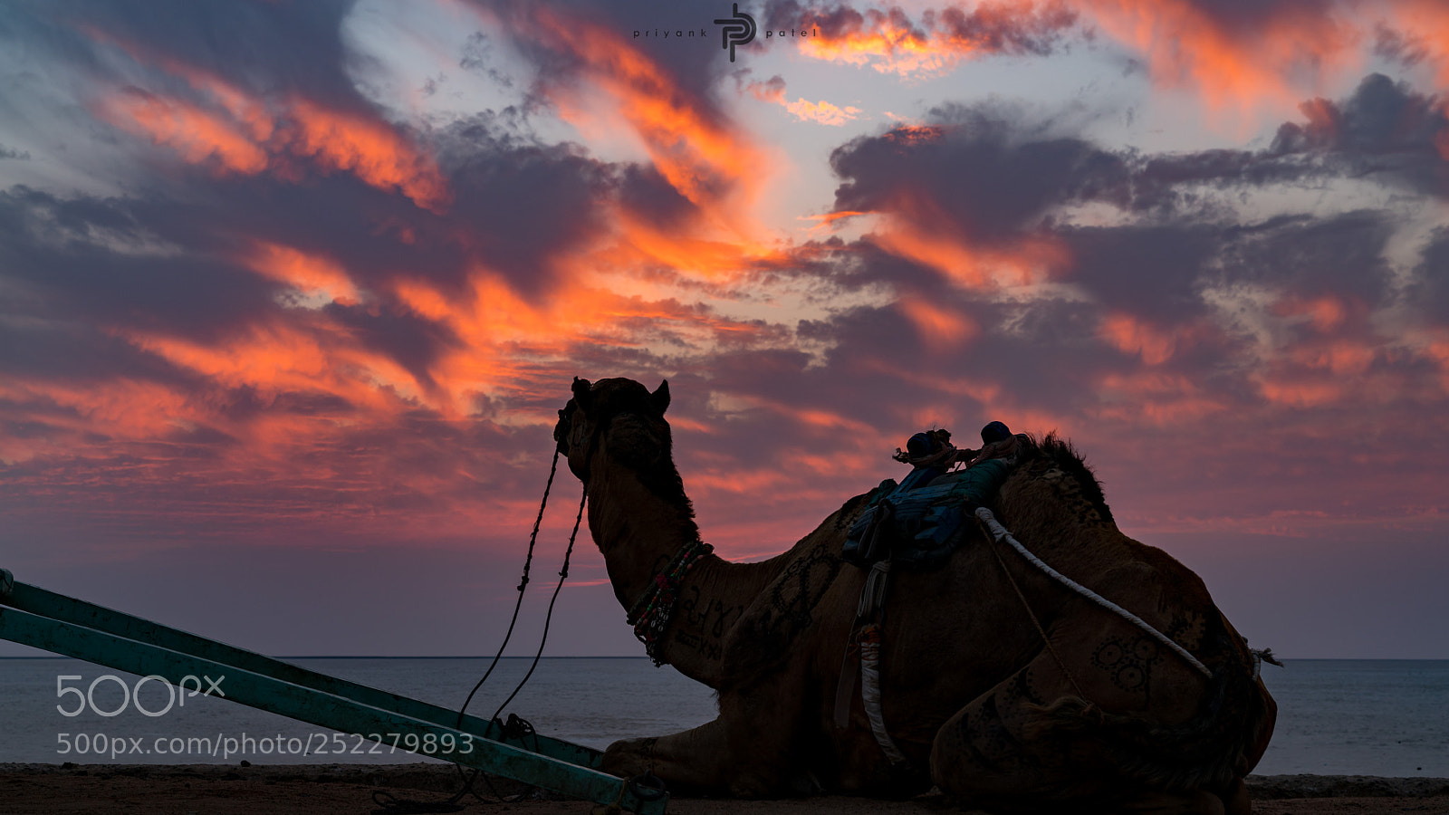 Sony a7R II sample photo. The ship of desert photography