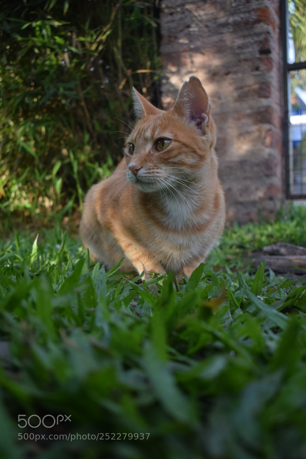 Nikon D3300 sample photo. Gata photography