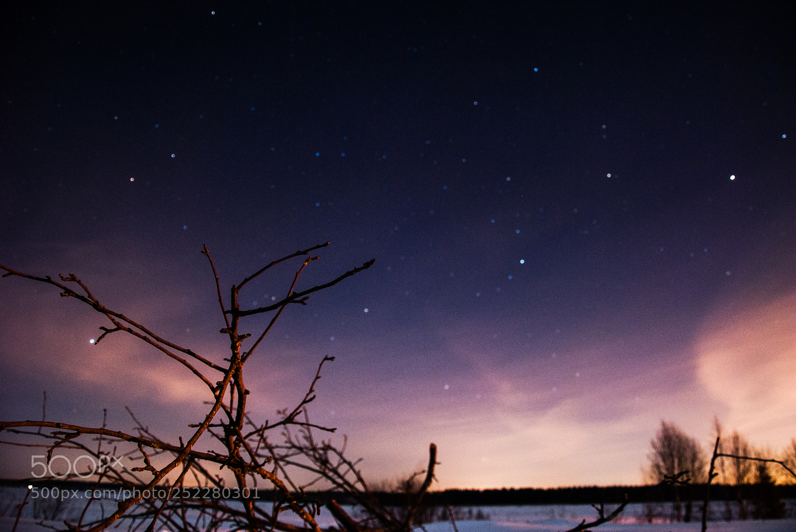 Nikon D3000 sample photo. The starry sky photography