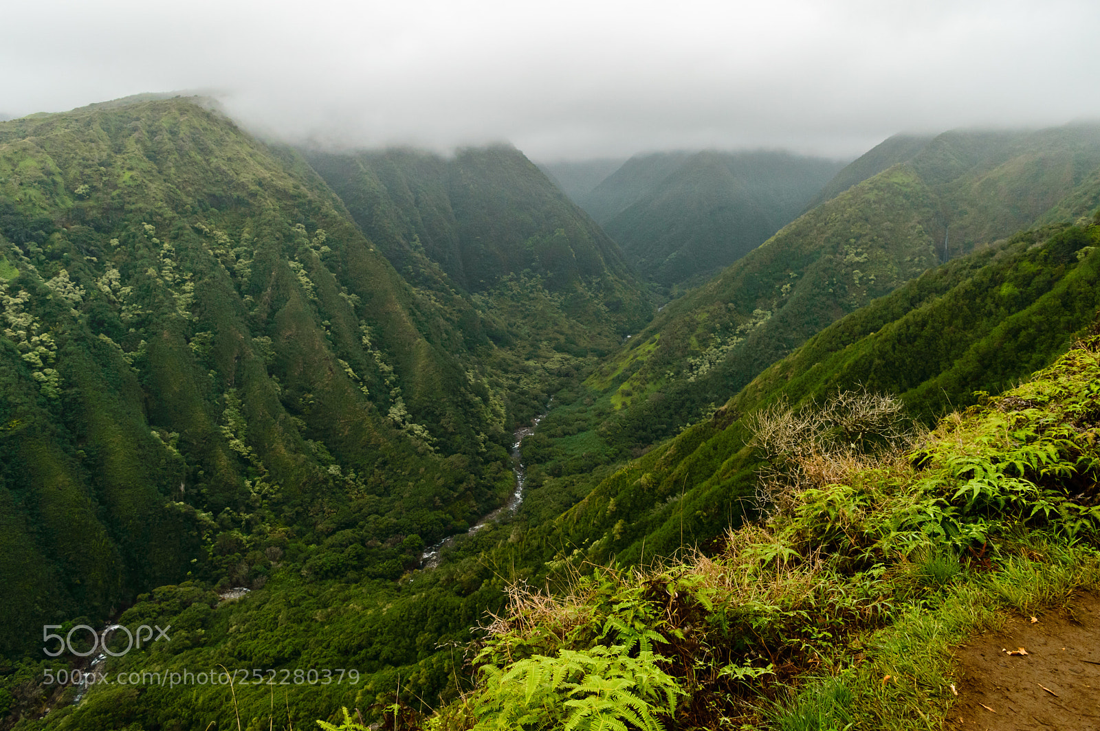 Nikon D3200 sample photo. Waihee ridge trail photography