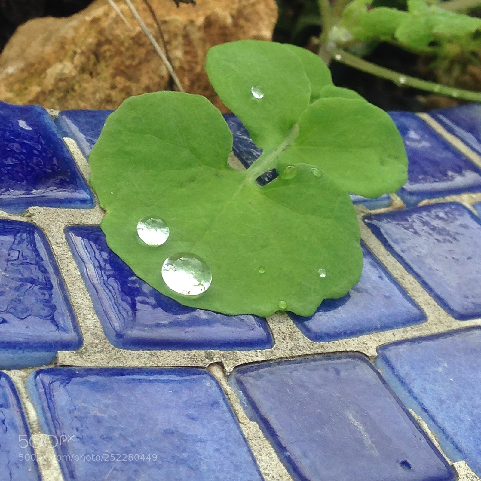 Apple iPhone 5 sample photo. Img photography