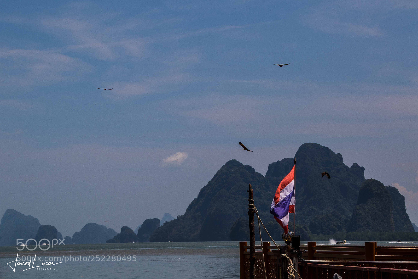 Canon EOS 7D Mark II sample photo. Sea eagles swooping photography