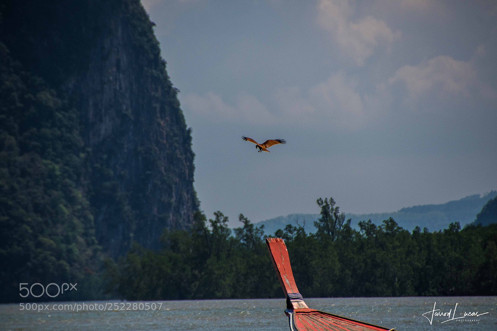 Canon EOS 7D Mark II sample photo. Sea eagles swooping photography