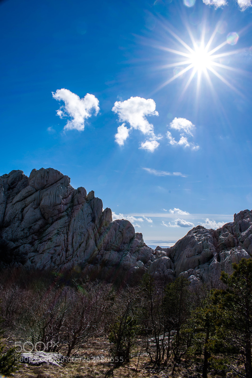 Nikon D5300 sample photo. Spring sun photography