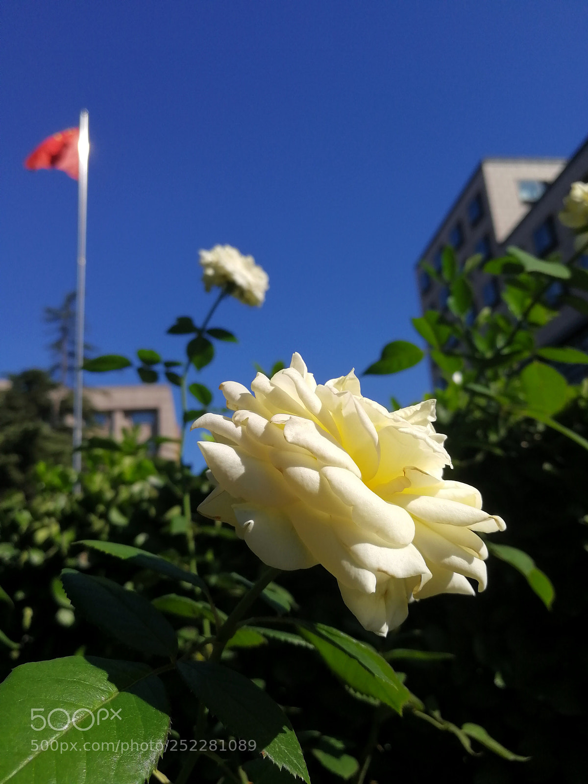HUAWEI Honor 9 sample photo. Untitled photography