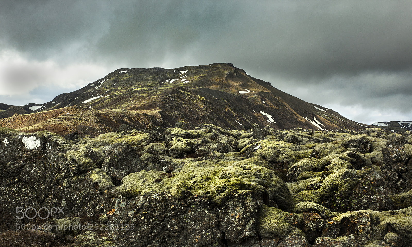 Canon EOS 5D Mark II sample photo. Moss mountain photography
