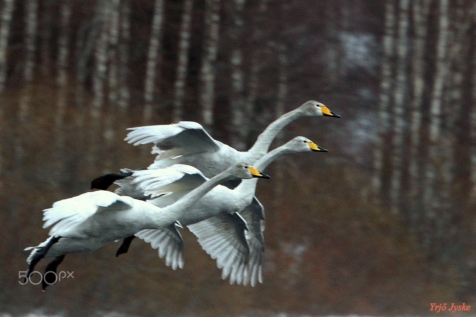 Canon EOS 700D (EOS Rebel T5i / EOS Kiss X7i) sample photo. "trio-landing" photography