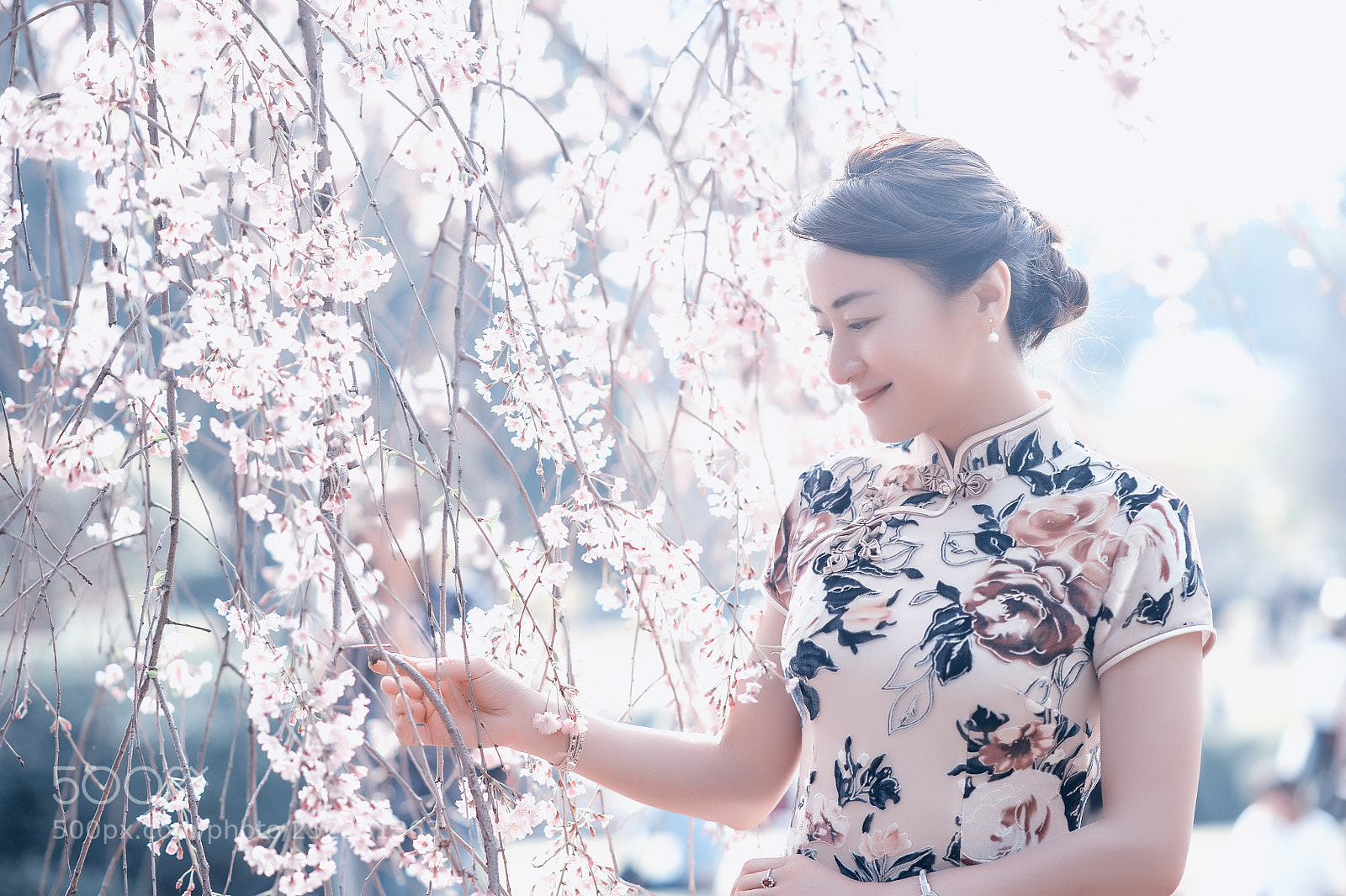 Nikon D700 sample photo. Sakura (1) photography