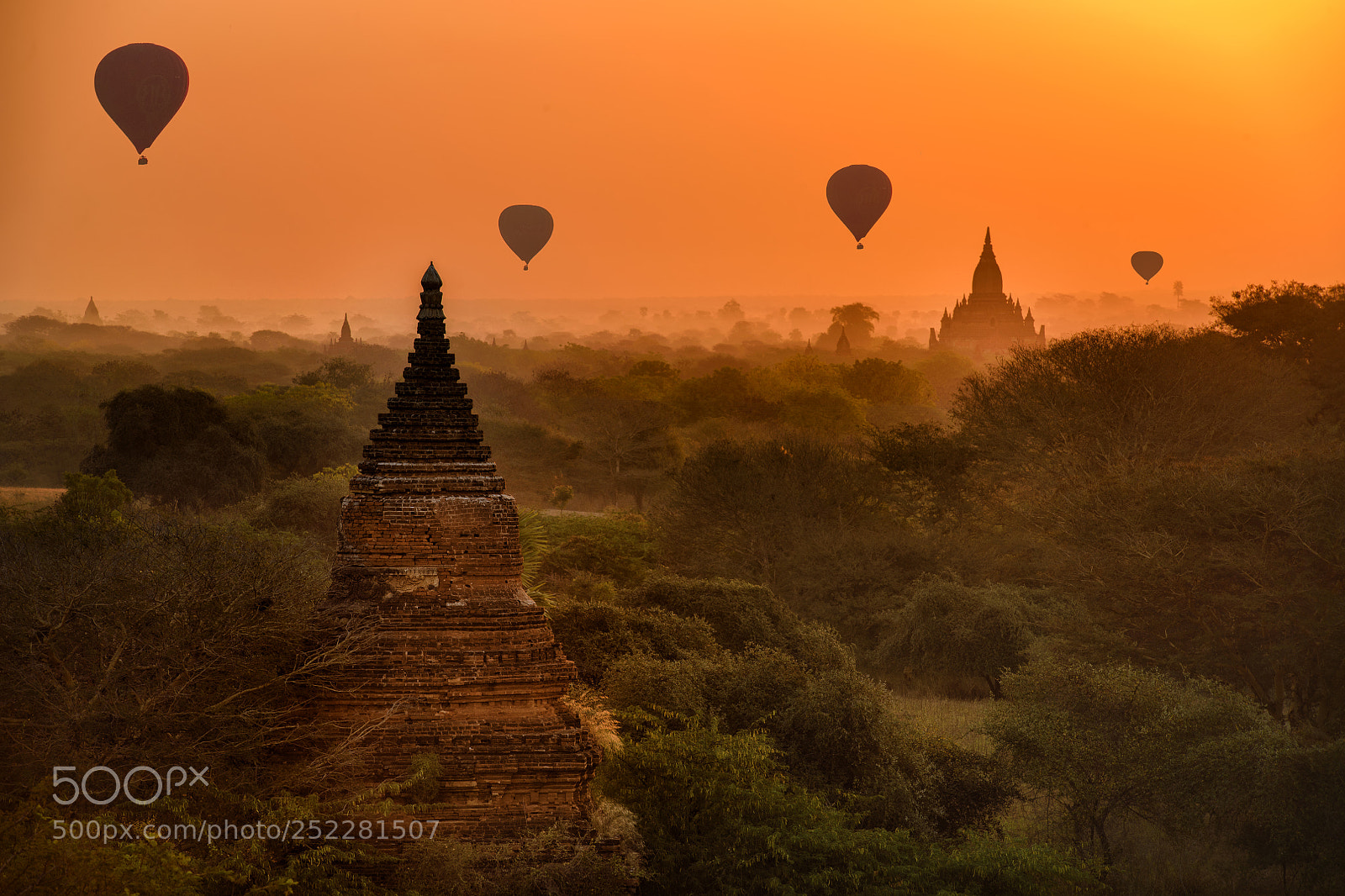 Nikon D850 sample photo. Hot air balloon over photography