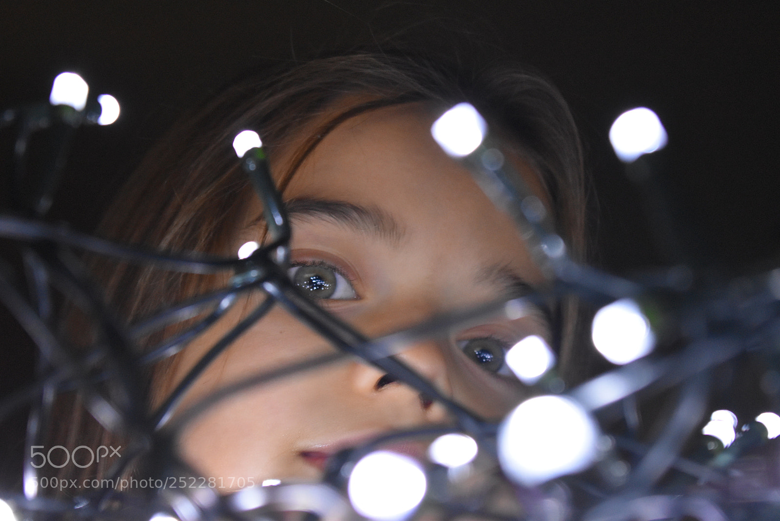 Nikon D5600 sample photo. Untitled photography