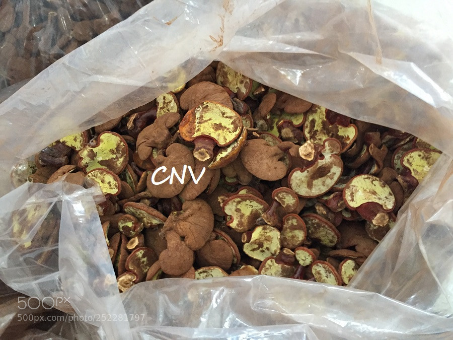 Apple iPhone 6 sample photo. C a h ng photography