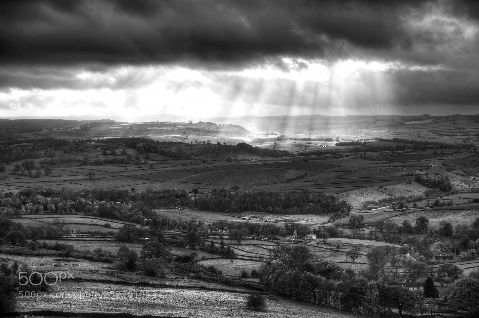 Nikon D700 sample photo. Black and white beautiful photography