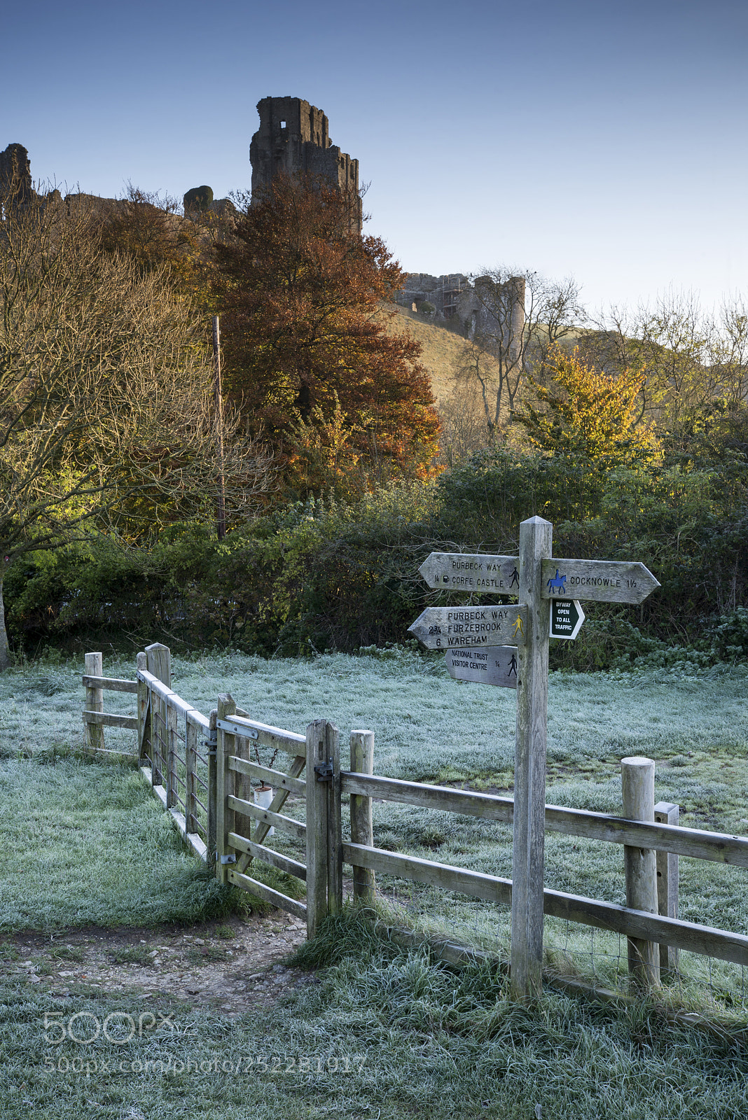 Nikon D600 sample photo. Beautiful medieval castle ruins photography