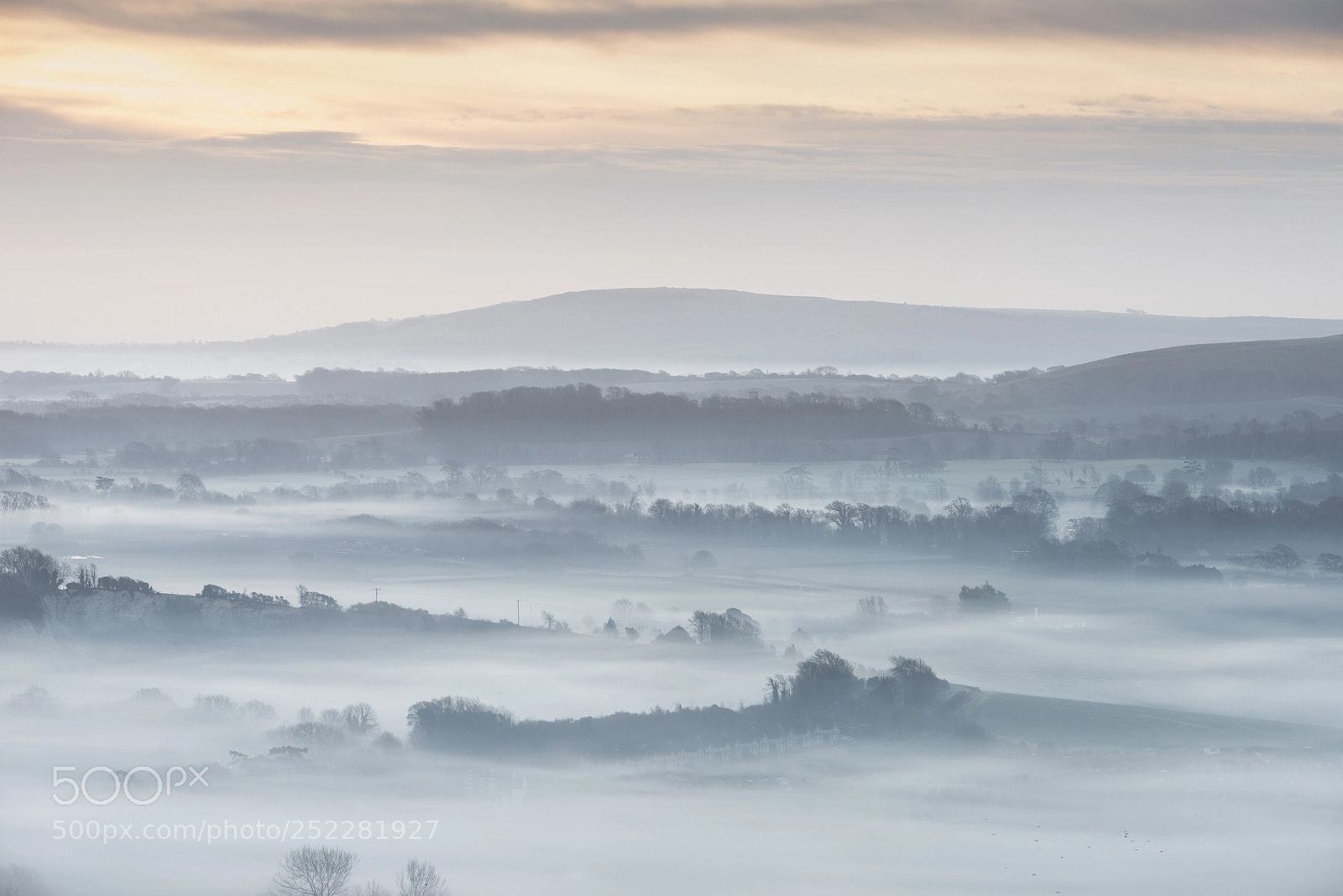 Nikon D800 sample photo. Stunning foggy english rural photography