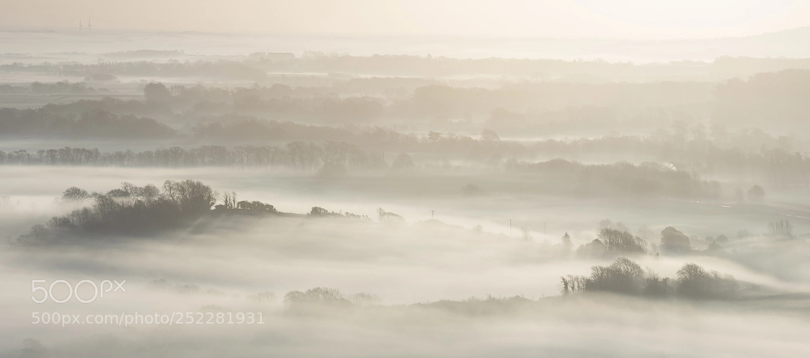 Nikon D800 sample photo. Stunning foggy english rural photography