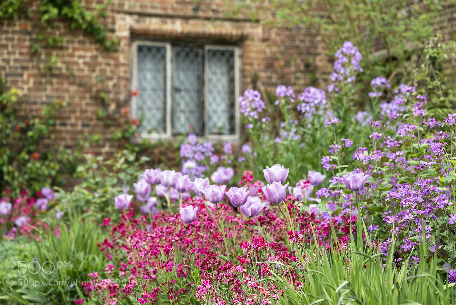 Nikon D800 sample photo. Quintessential vibrant english country photography