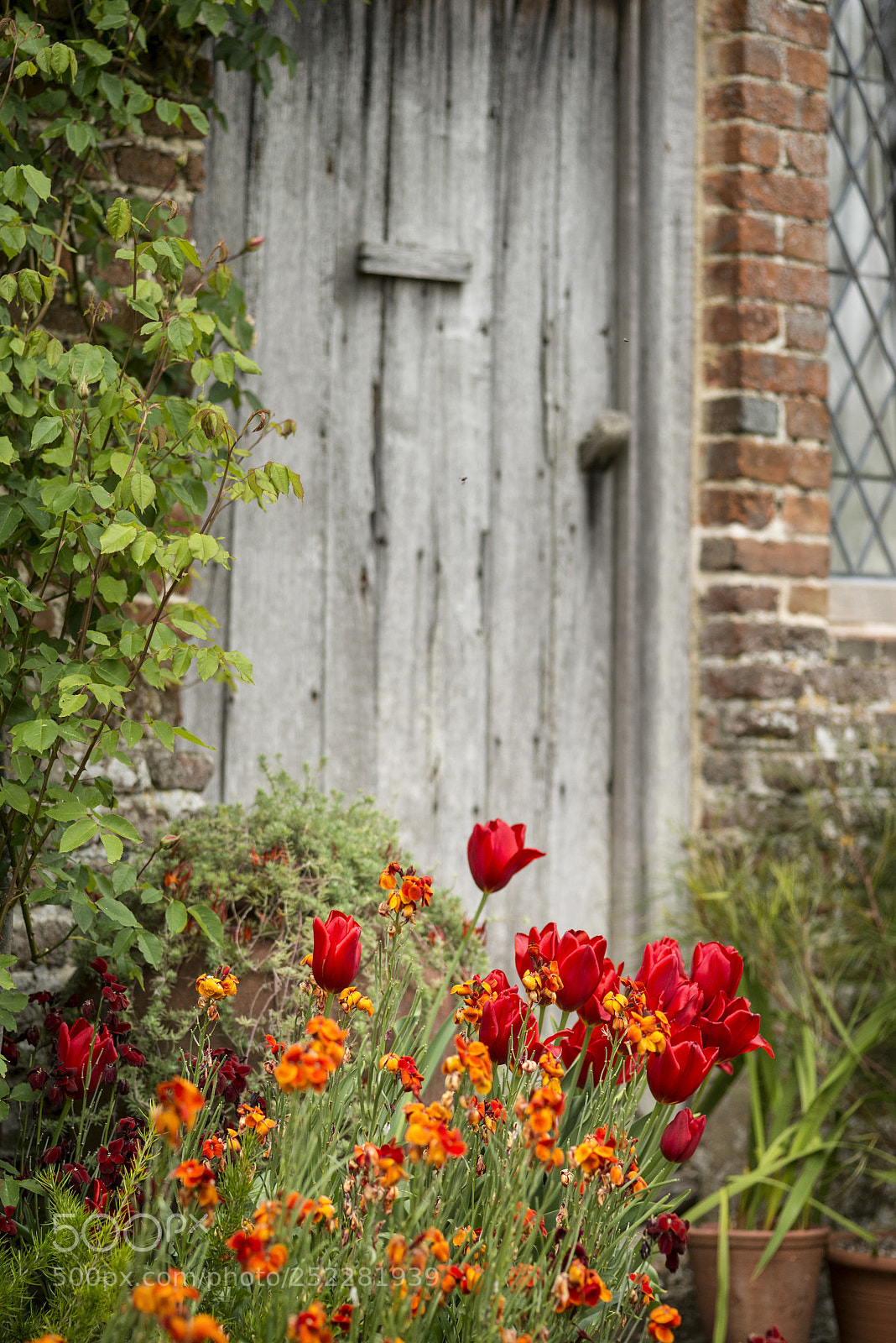 Nikon D800 sample photo. Quintessential vibrant english country photography