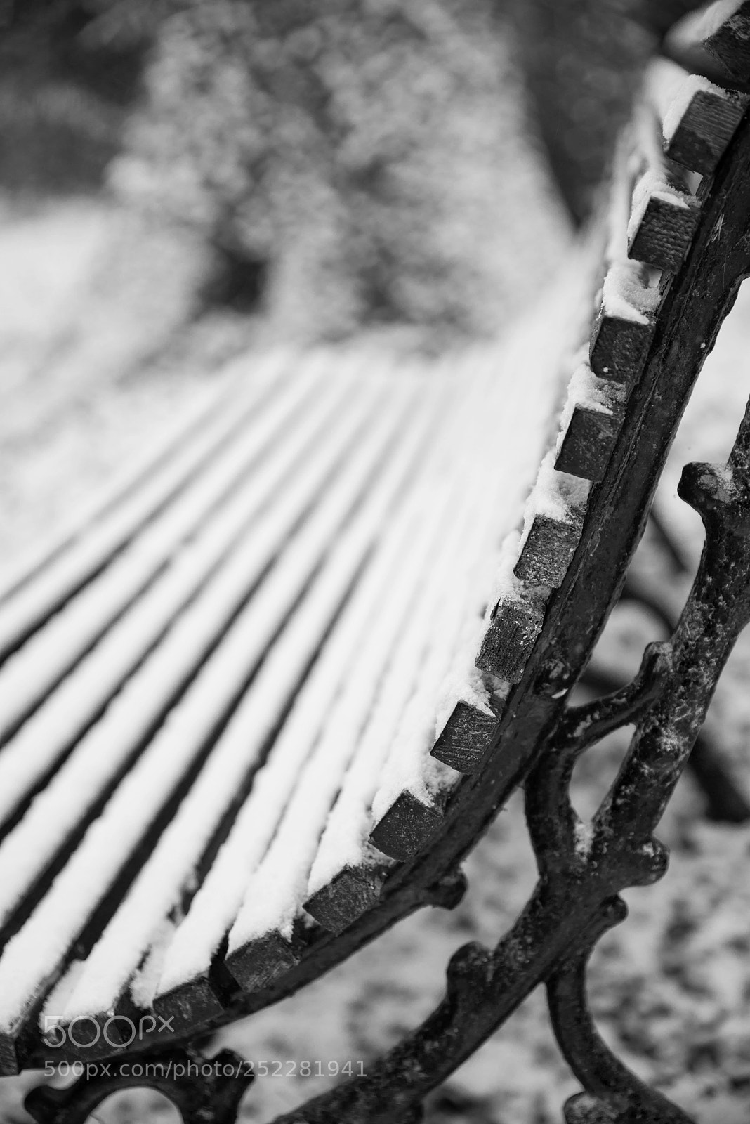 Nikon D800 sample photo. Winter landscape with snow photography