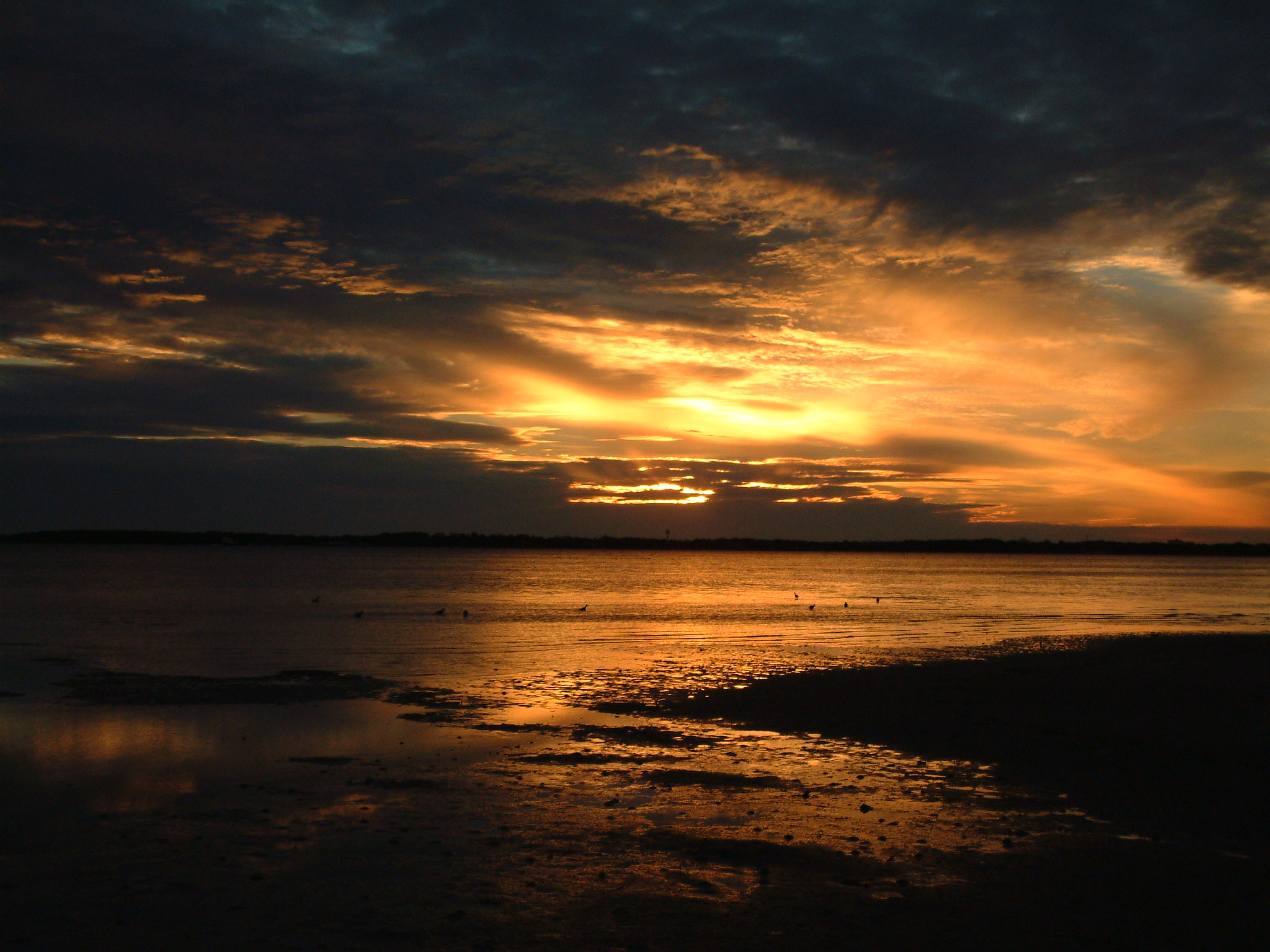 Fujifilm FinePix6900ZOOM sample photo. Apocalyptic sunset photography